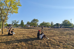 IMG_20260812_193858