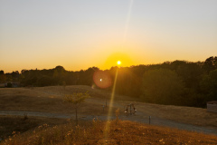 IMG_20260812_204307