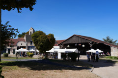 DSC07009