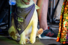 Foulee_Servonnaise_2025_A7408100