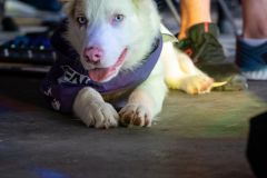 Foulee_Servonnaise_2025_A7408102