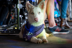 Foulee_Servonnaise_2025_A7408104