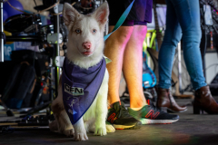 Foulee_Servonnaise_2025_A7408108