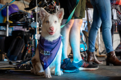 Foulee_Servonnaise_2025_A7408109