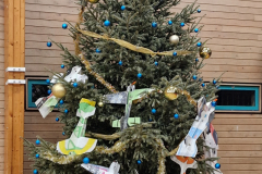 PHOTO-ARBRE-NOEL-SERVON-1