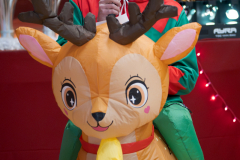 MARCHE_DE_NOEL_SERVON_2024_A7408157