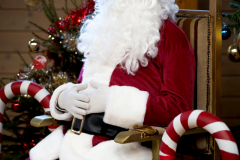 MARCHE_DE_NOEL_SERVON_2024_A7408162