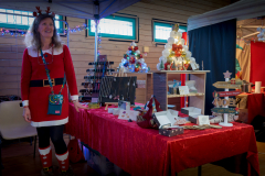 MARCHE_DE_NOEL_SERVON_2024_A7408260