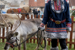 MARCHE_DE_NOEL_SERVON_2024_A7408493