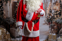 MARCHE_DE_NOEL_SERVON_2025_A7408815