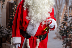 MARCHE_DE_NOEL_SERVON_2025_A7408816