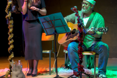 MARCHE_DE_NOEL_SERVON_2025_A7408981