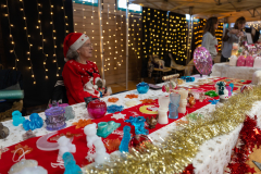 MARCHE_DE_NOEL_SERVON_2025_A7409002