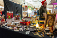 MARCHE_DE_NOEL_SERVON_2025_A7409053