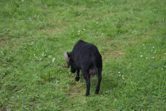 DSC_0127