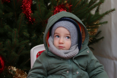 Noel-181