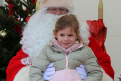 Noel-201